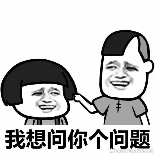 合规责任体回答谁来负责